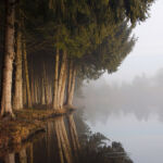 Landscape photograph