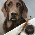 Brown lab portrait