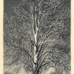 Tree print by artists Joan and Peter Grimord