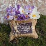 Packaged soap with flowers around it