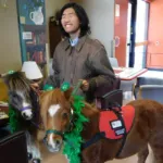 Two Jacobs Mane of Hope miniature horses